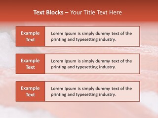 A Group Of Salmons Sitting On Top Of A Pile Of Ice PowerPoint Template