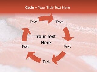 A Group Of Salmons Sitting On Top Of A Pile Of Ice PowerPoint Template