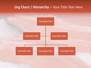 A Group Of Salmons Sitting On Top Of A Pile Of Ice PowerPoint Template