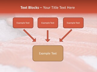 A Group Of Salmons Sitting On Top Of A Pile Of Ice PowerPoint Template