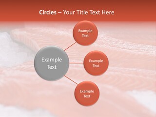 A Group Of Salmons Sitting On Top Of A Pile Of Ice PowerPoint Template