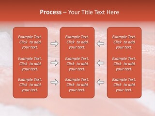 A Group Of Salmons Sitting On Top Of A Pile Of Ice PowerPoint Template