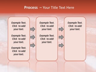 A Group Of Salmons Sitting On Top Of A Pile Of Ice PowerPoint Template