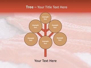 A Group Of Salmons Sitting On Top Of A Pile Of Ice PowerPoint Template