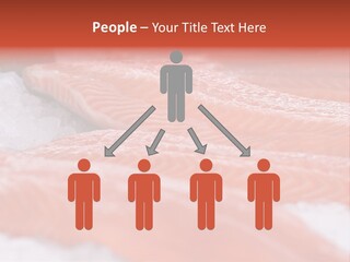 A Group Of Salmons Sitting On Top Of A Pile Of Ice PowerPoint Template