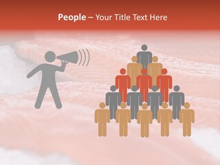 A Group Of Salmons Sitting On Top Of A Pile Of Ice PowerPoint Template