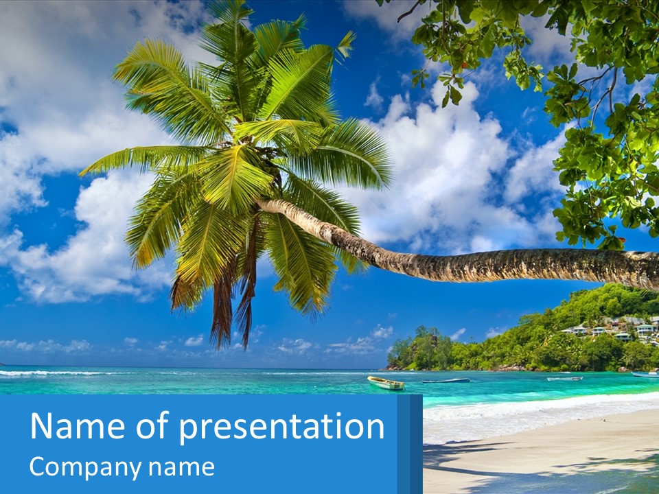 A Palm Tree On A Beach With A Boat In The Water PowerPoint Template