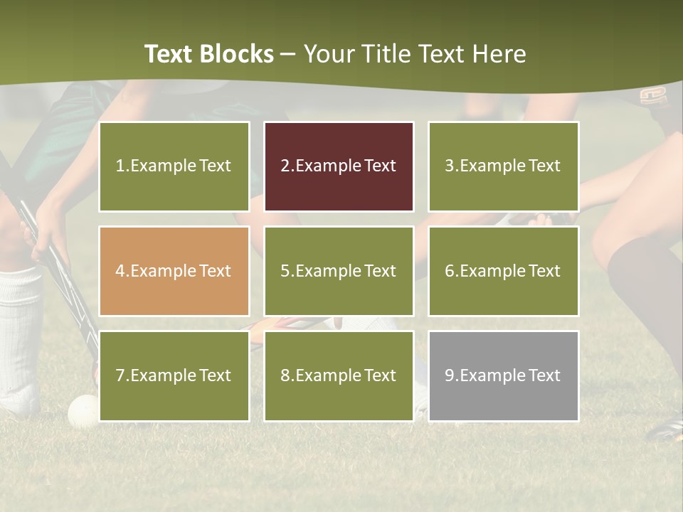 A Group Of People Playing A Game Of Field Hockey PowerPoint Template