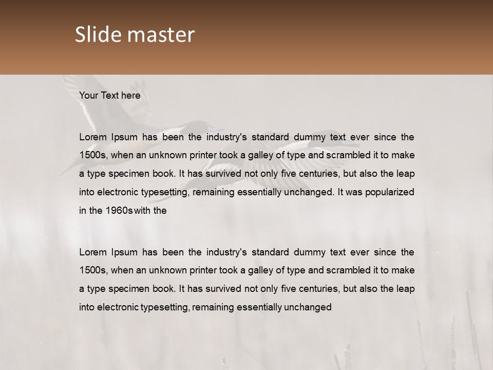 A Couple Of Birds Flying Over A Dry Grass Field PowerPoint Template