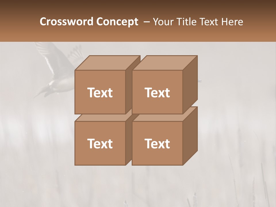 A Couple Of Birds Flying Over A Dry Grass Field PowerPoint Template