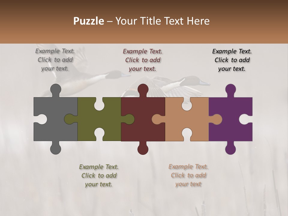 A Couple Of Birds Flying Over A Dry Grass Field PowerPoint Template