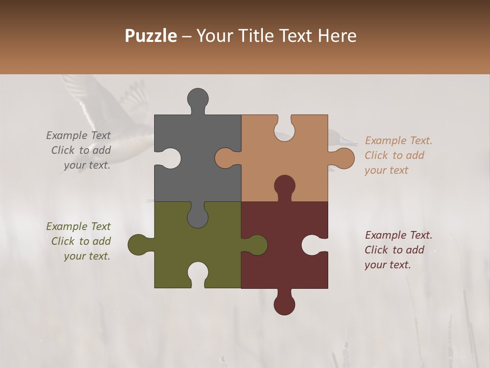 A Couple Of Birds Flying Over A Dry Grass Field PowerPoint Template