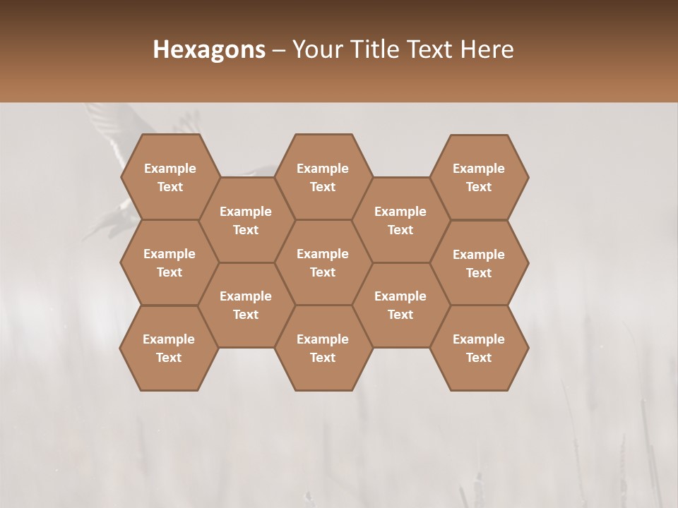 A Couple Of Birds Flying Over A Dry Grass Field PowerPoint Template