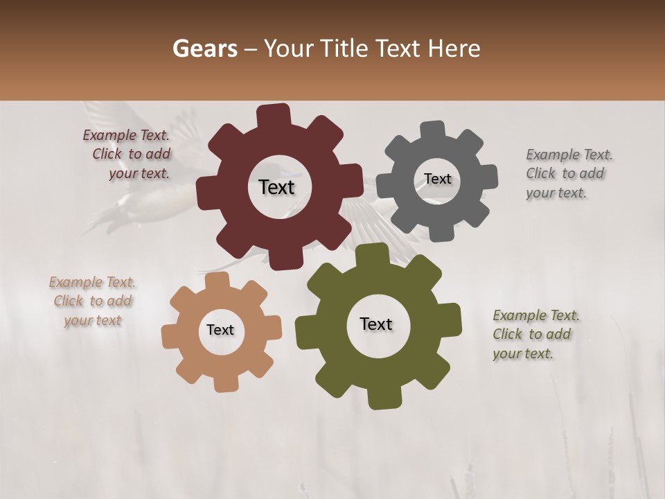 A Couple Of Birds Flying Over A Dry Grass Field PowerPoint Template