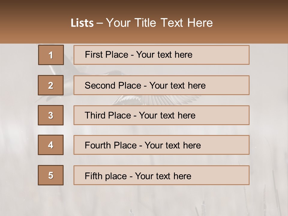 A Couple Of Birds Flying Over A Dry Grass Field PowerPoint Template