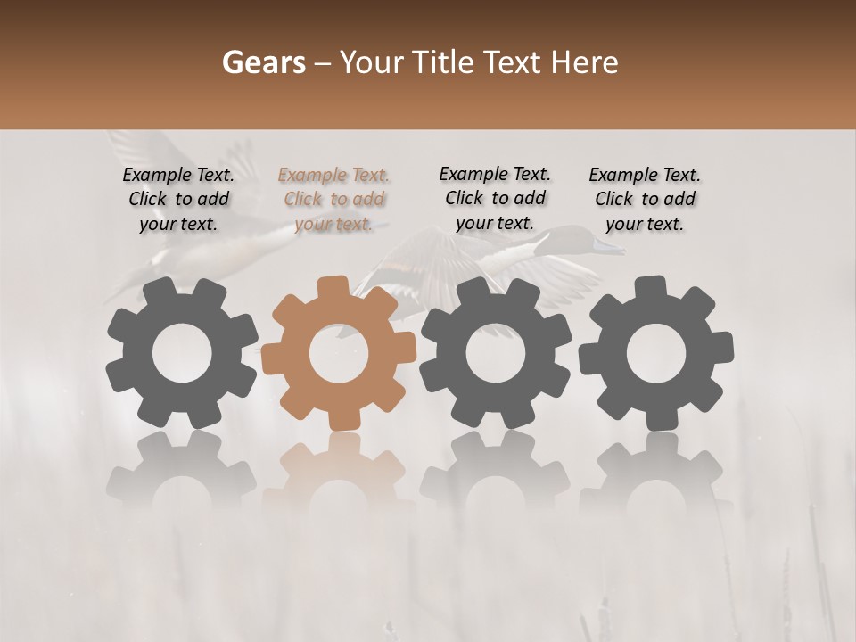 A Couple Of Birds Flying Over A Dry Grass Field PowerPoint Template