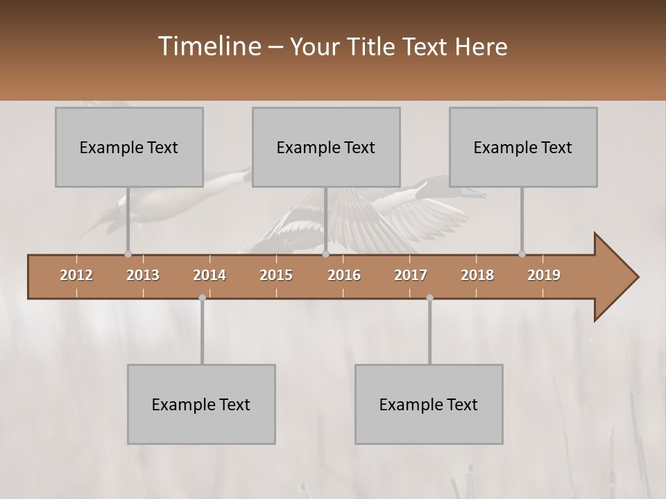A Couple Of Birds Flying Over A Dry Grass Field PowerPoint Template