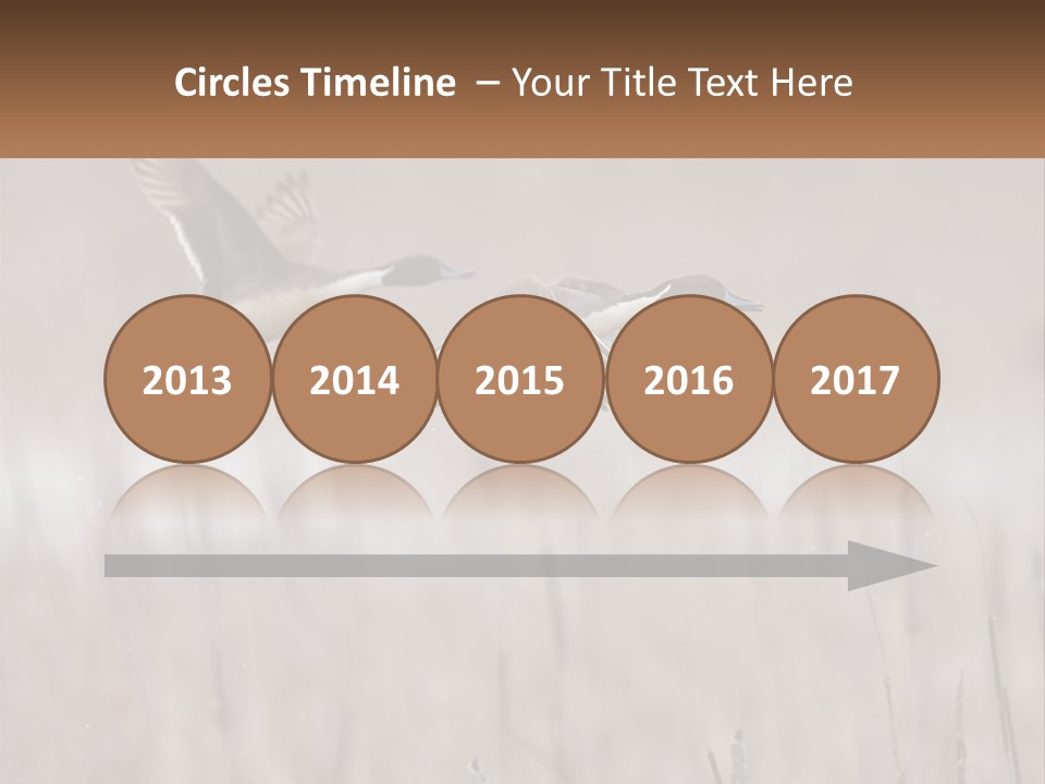A Couple Of Birds Flying Over A Dry Grass Field PowerPoint Template