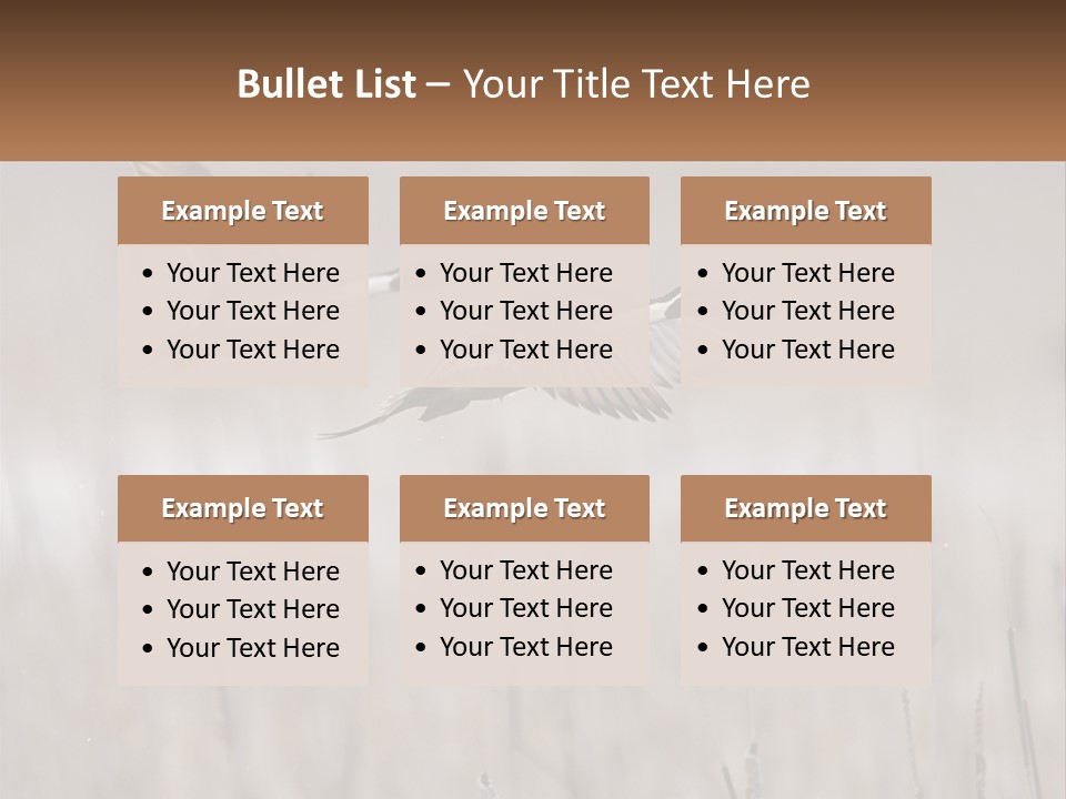 A Couple Of Birds Flying Over A Dry Grass Field PowerPoint Template