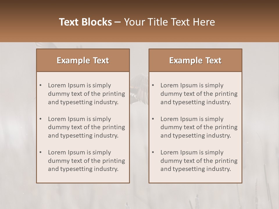A Couple Of Birds Flying Over A Dry Grass Field PowerPoint Template
