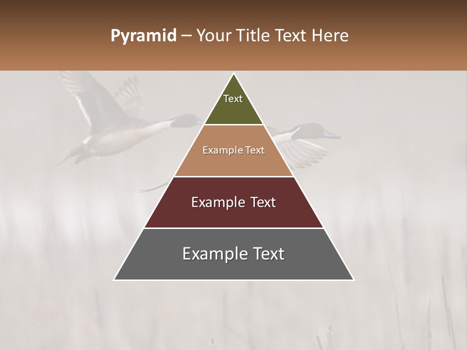 A Couple Of Birds Flying Over A Dry Grass Field PowerPoint Template