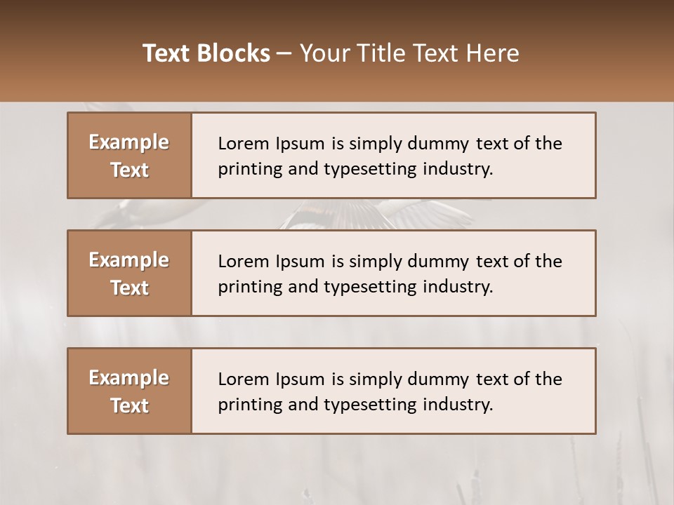 A Couple Of Birds Flying Over A Dry Grass Field PowerPoint Template