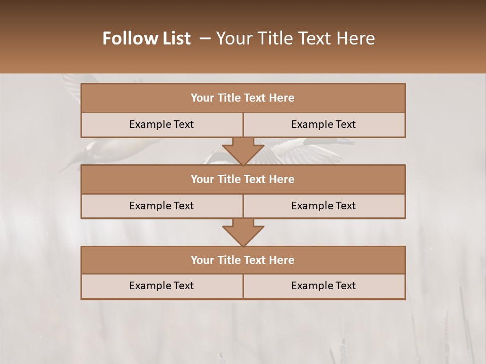 A Couple Of Birds Flying Over A Dry Grass Field PowerPoint Template