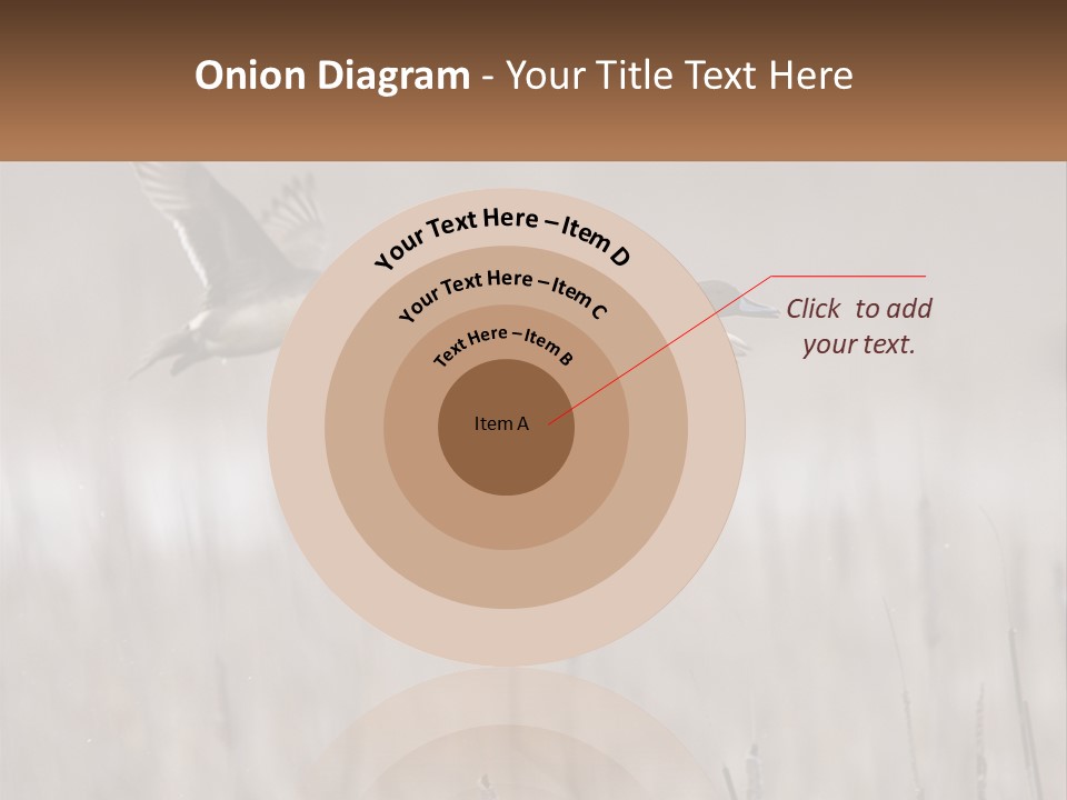 A Couple Of Birds Flying Over A Dry Grass Field PowerPoint Template