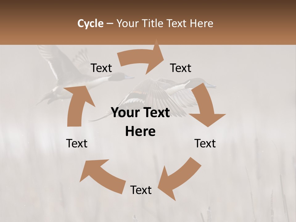 A Couple Of Birds Flying Over A Dry Grass Field PowerPoint Template