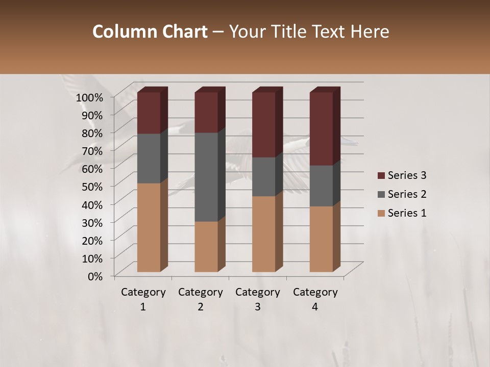 A Couple Of Birds Flying Over A Dry Grass Field PowerPoint Template