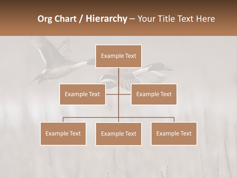 A Couple Of Birds Flying Over A Dry Grass Field PowerPoint Template