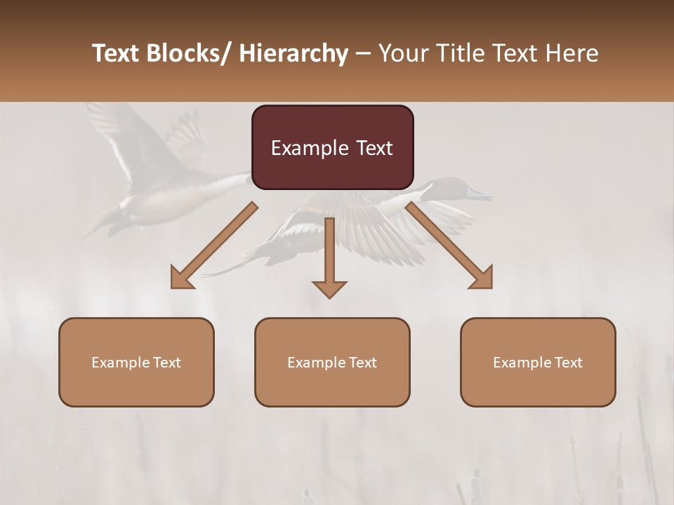 A Couple Of Birds Flying Over A Dry Grass Field PowerPoint Template