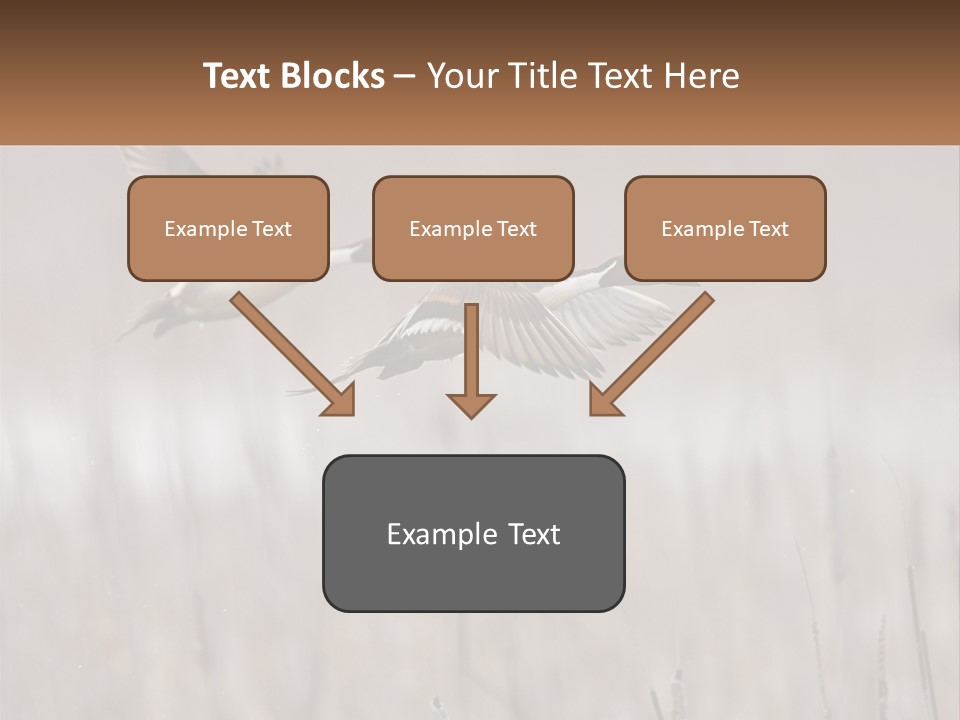 A Couple Of Birds Flying Over A Dry Grass Field PowerPoint Template