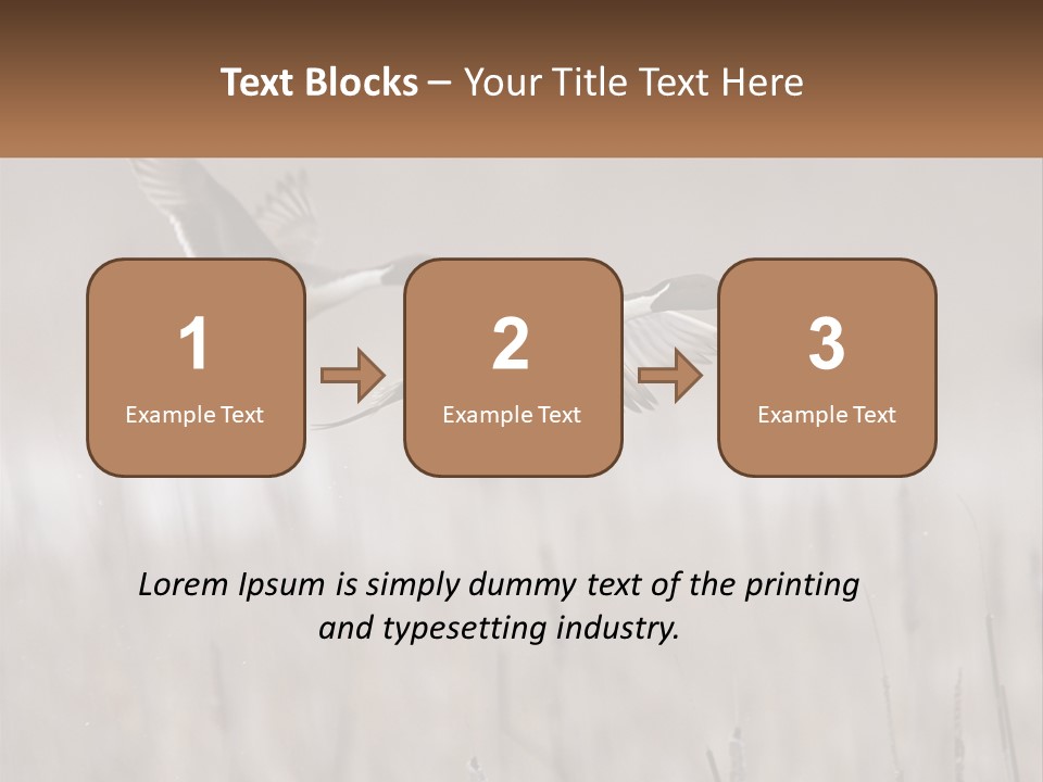 A Couple Of Birds Flying Over A Dry Grass Field PowerPoint Template