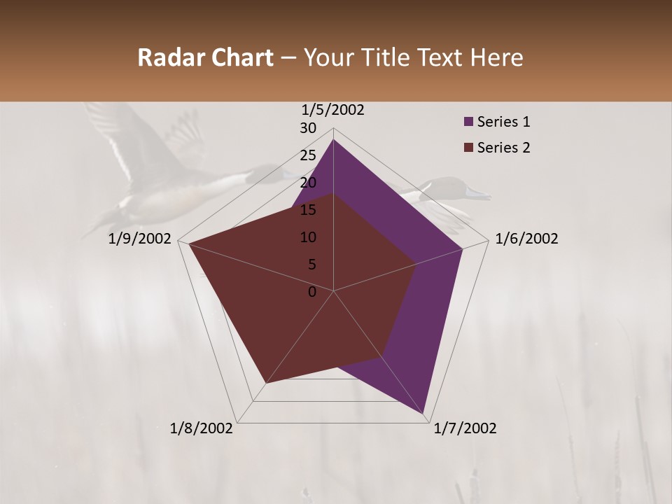 A Couple Of Birds Flying Over A Dry Grass Field PowerPoint Template