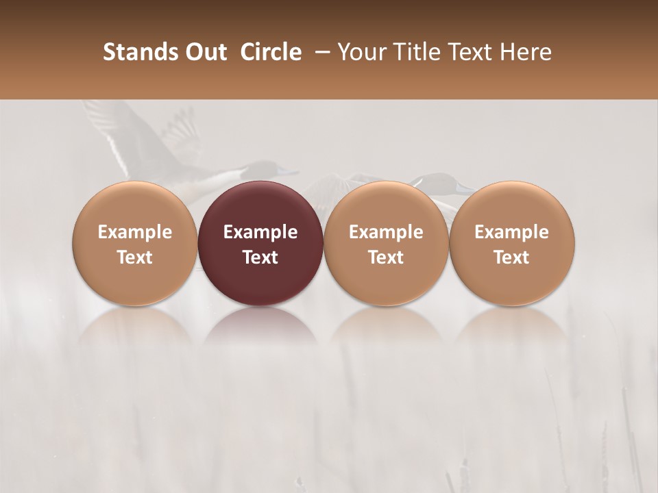 A Couple Of Birds Flying Over A Dry Grass Field PowerPoint Template