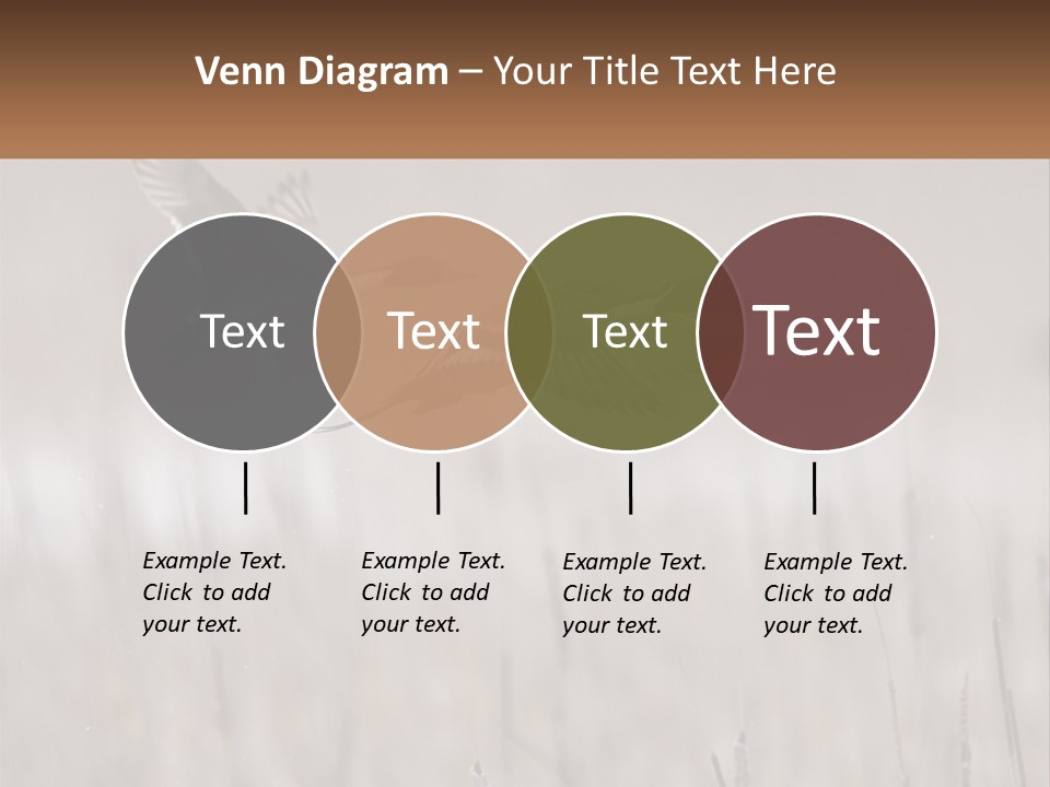A Couple Of Birds Flying Over A Dry Grass Field PowerPoint Template