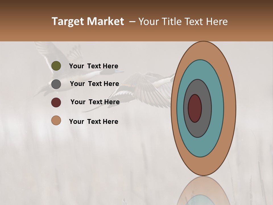 A Couple Of Birds Flying Over A Dry Grass Field PowerPoint Template