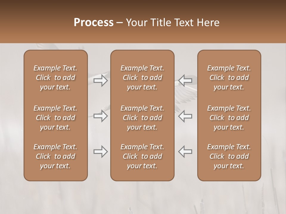A Couple Of Birds Flying Over A Dry Grass Field PowerPoint Template