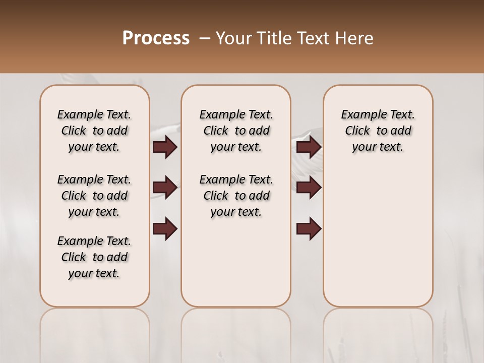A Couple Of Birds Flying Over A Dry Grass Field PowerPoint Template