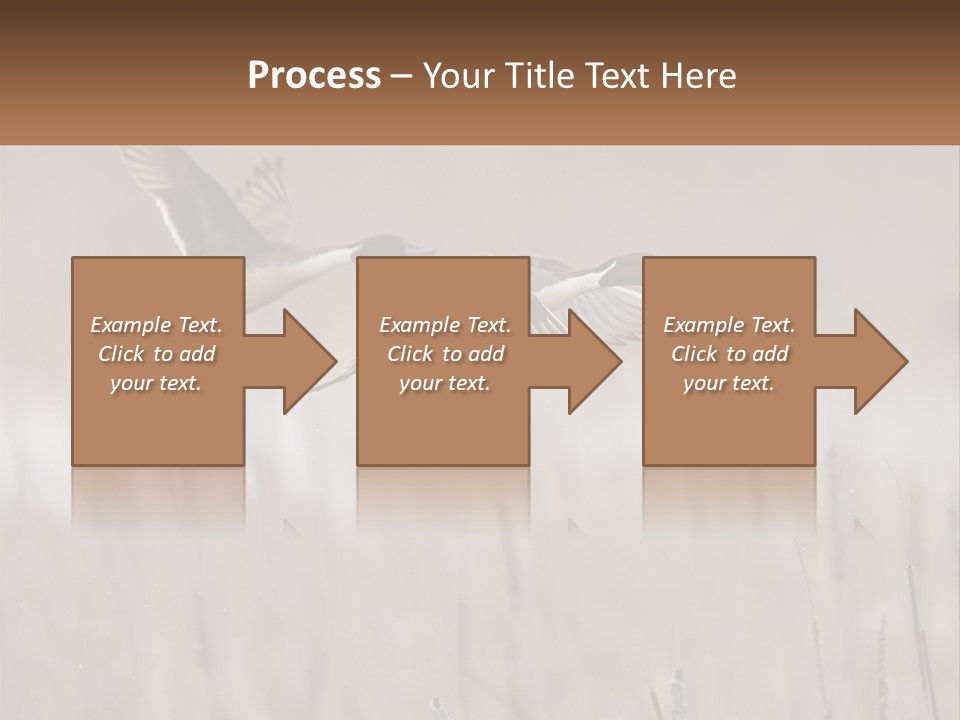 A Couple Of Birds Flying Over A Dry Grass Field PowerPoint Template