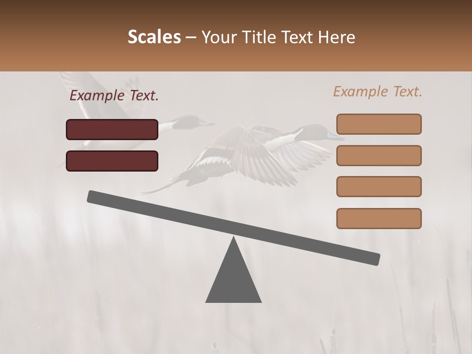 A Couple Of Birds Flying Over A Dry Grass Field PowerPoint Template
