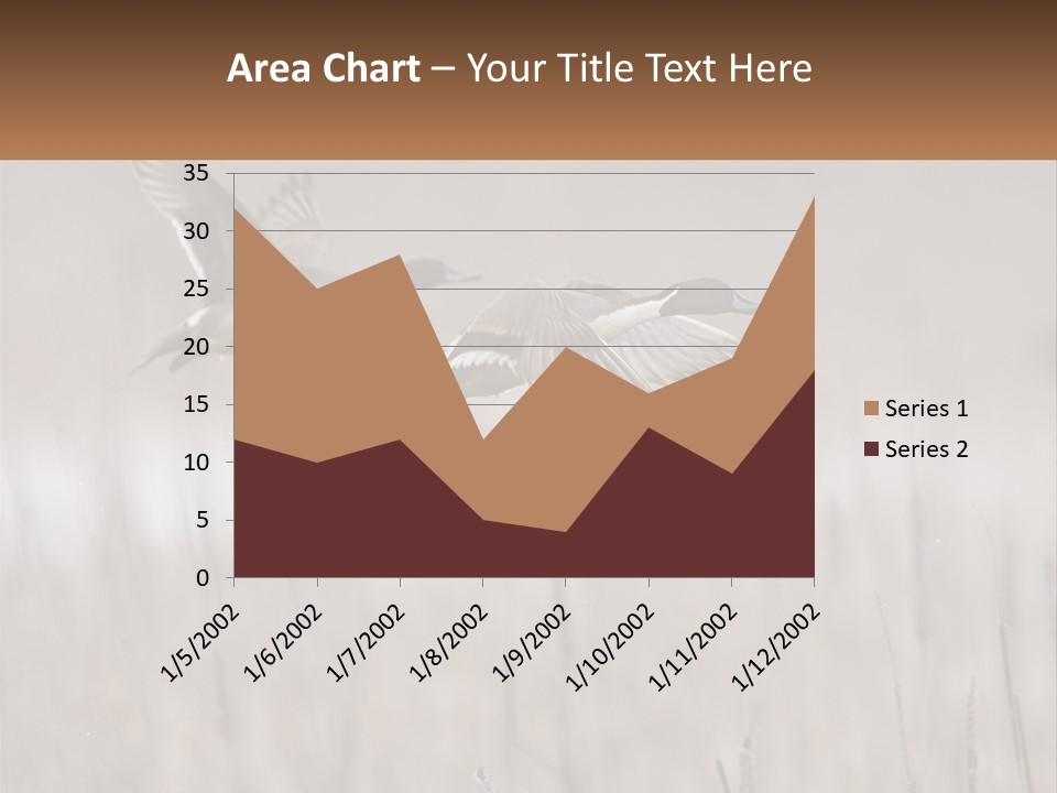A Couple Of Birds Flying Over A Dry Grass Field PowerPoint Template