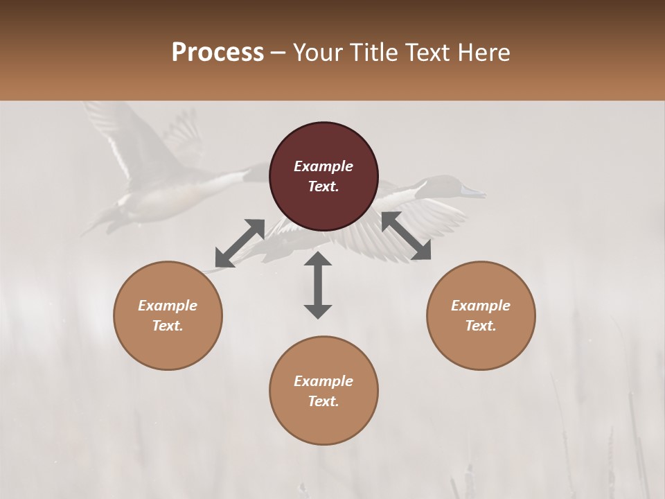 A Couple Of Birds Flying Over A Dry Grass Field PowerPoint Template