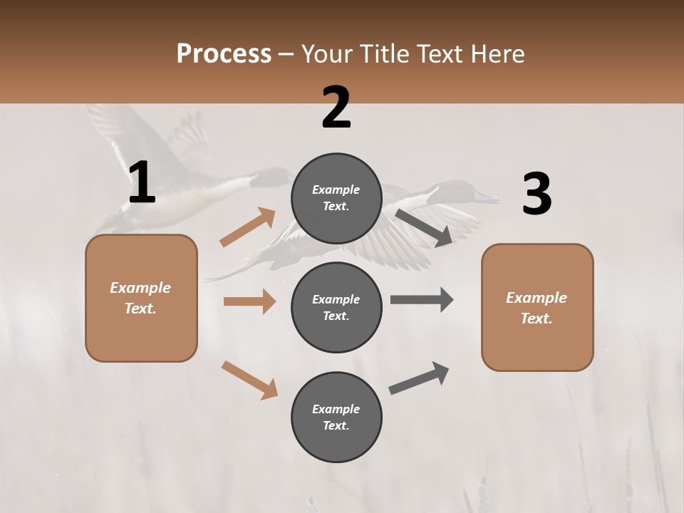 A Couple Of Birds Flying Over A Dry Grass Field PowerPoint Template
