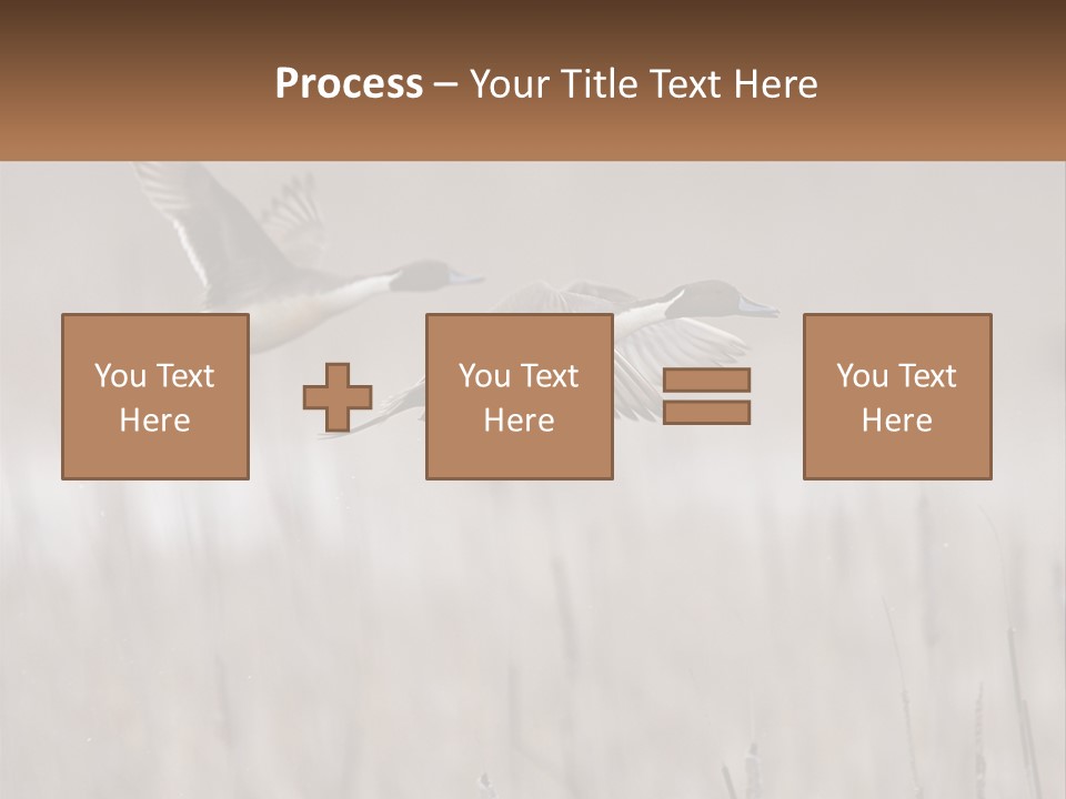 A Couple Of Birds Flying Over A Dry Grass Field PowerPoint Template