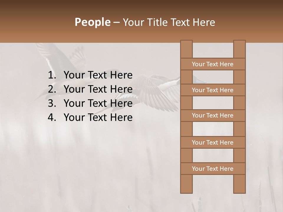 A Couple Of Birds Flying Over A Dry Grass Field PowerPoint Template