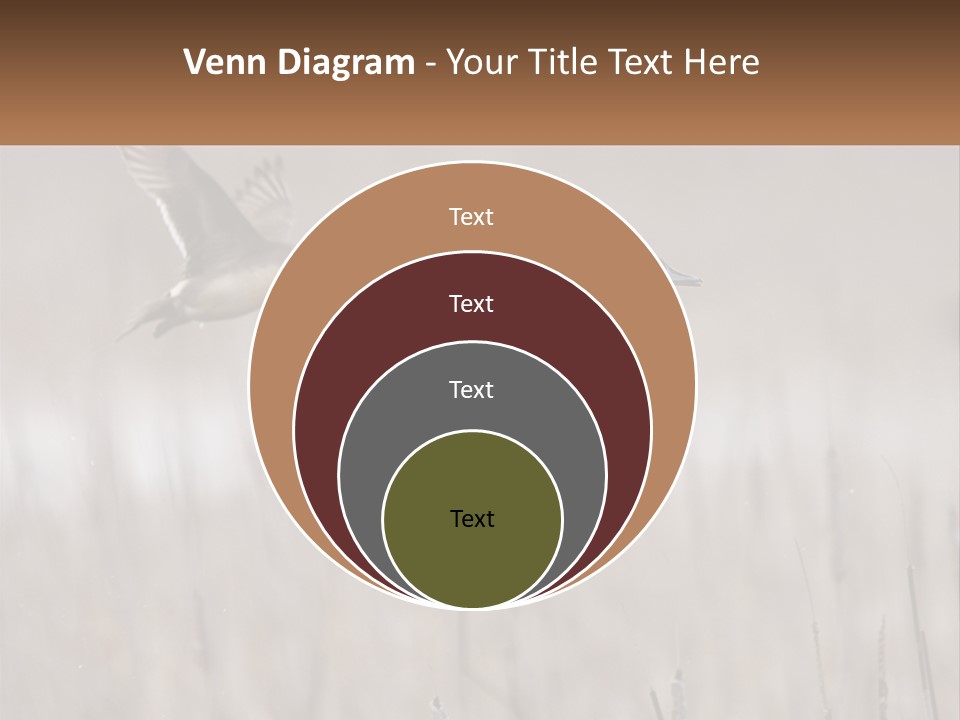 A Couple Of Birds Flying Over A Dry Grass Field PowerPoint Template