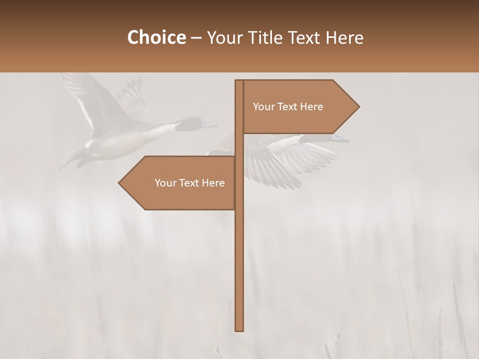 A Couple Of Birds Flying Over A Dry Grass Field PowerPoint Template