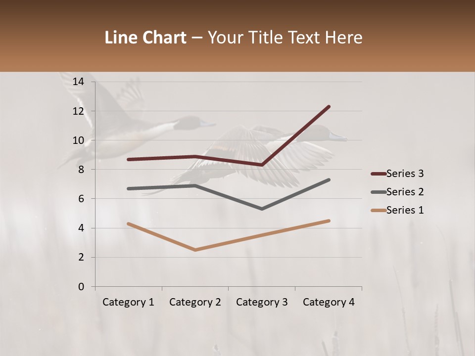 A Couple Of Birds Flying Over A Dry Grass Field PowerPoint Template